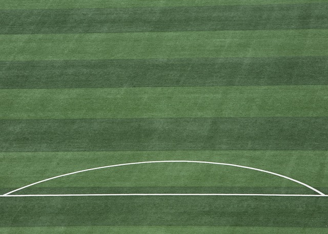 高水平的联 高水平的联