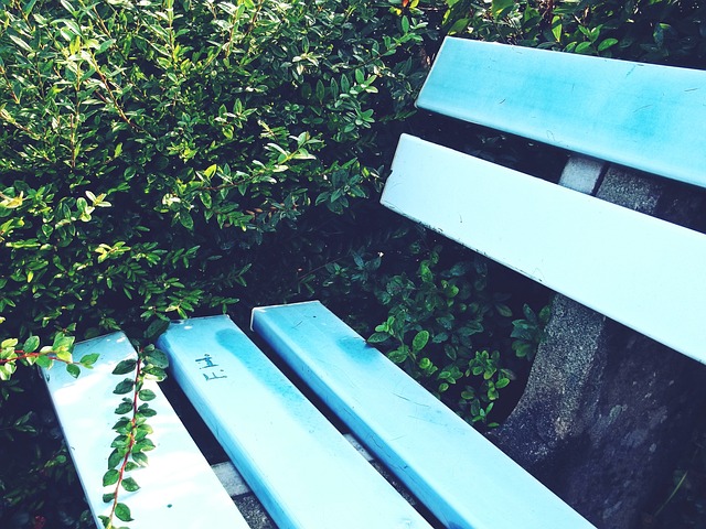 清晰视线和 清晰视线和