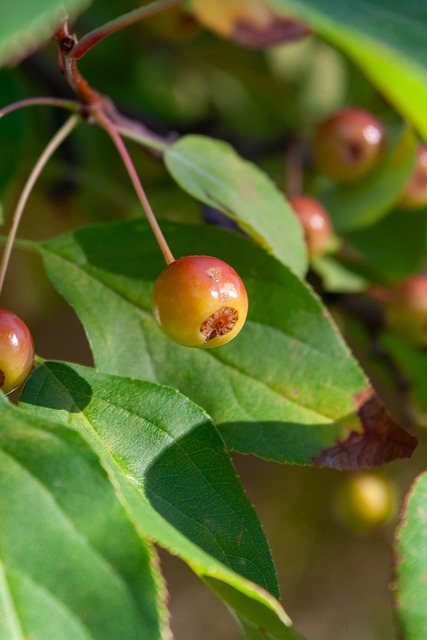 成為震撼的 成為震撼的