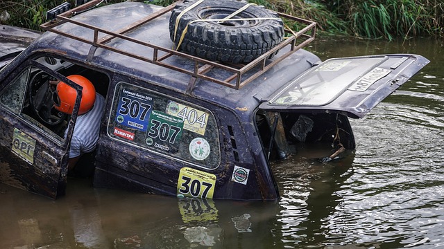 影响和未来 影响和未来