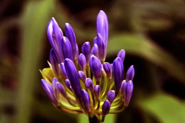 人留下了深 人留下了深