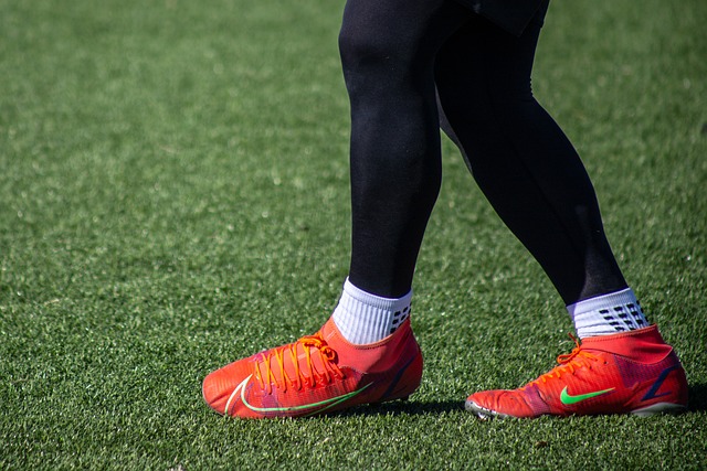 无疑是大家 无疑是大家