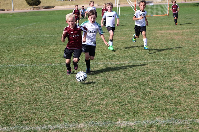 揭示成功关 揭示成功关