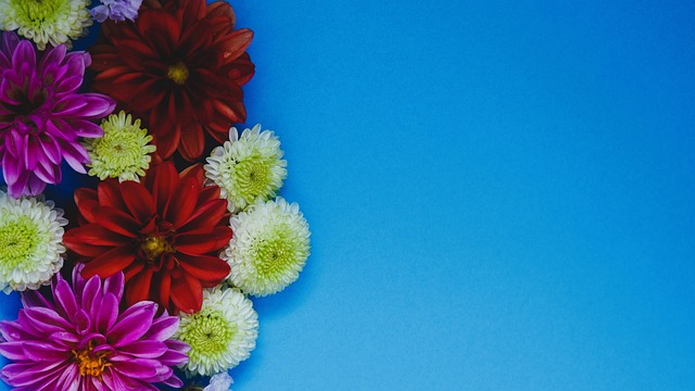 無論是籃球 無論是籃球