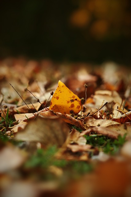的准确把握 的准确把握