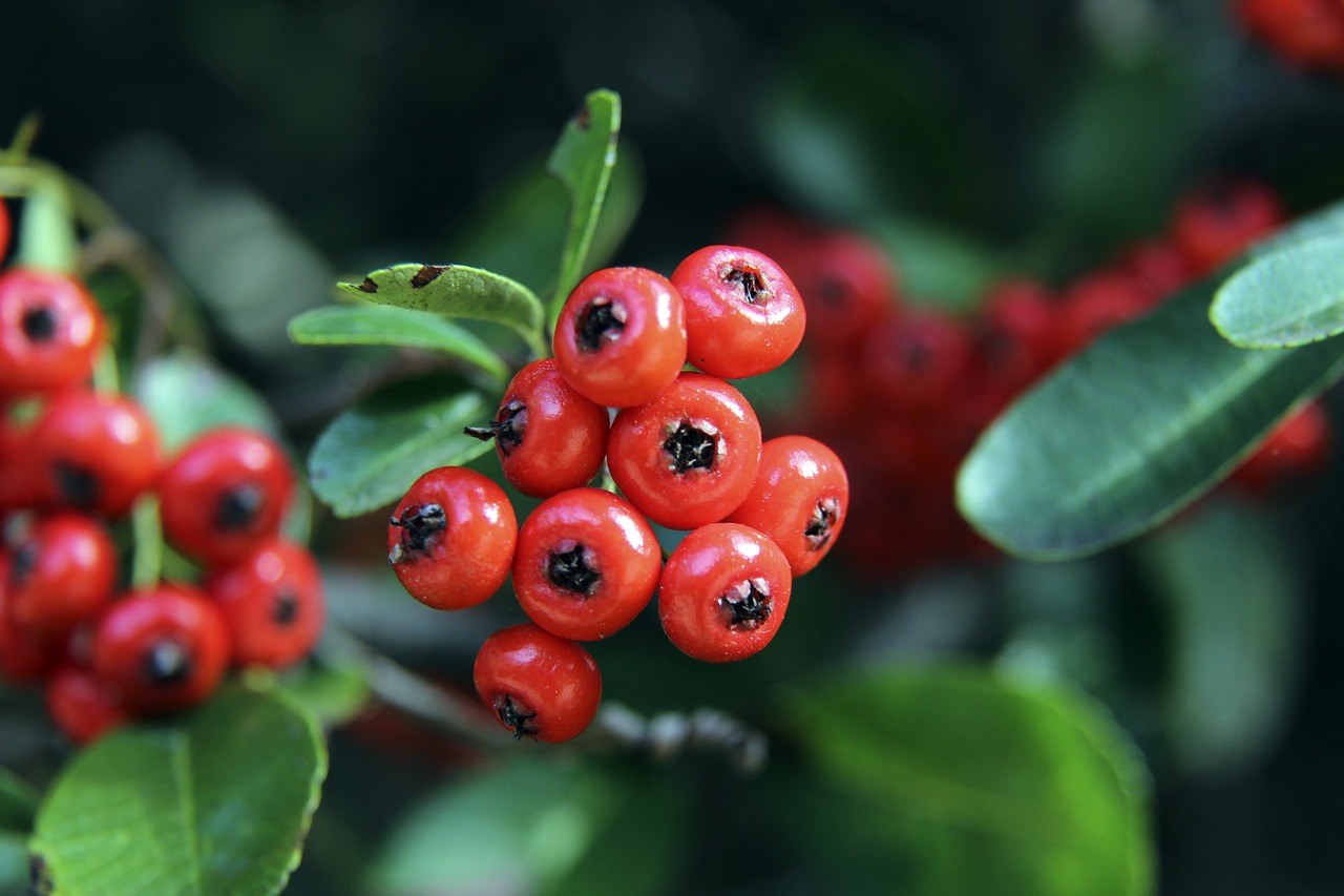 消费升级的 消费升级的