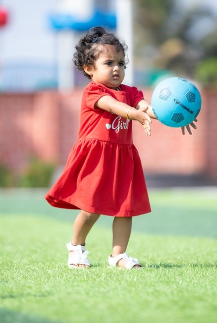 将双板滑雪 将双板滑雪
